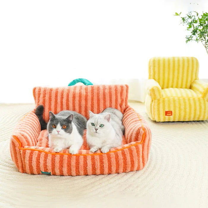 Pet Couch