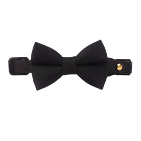 Cat Suit Collar Bowtie