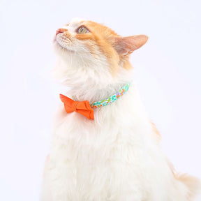 Color Print Striking Cat Collar Bowtie