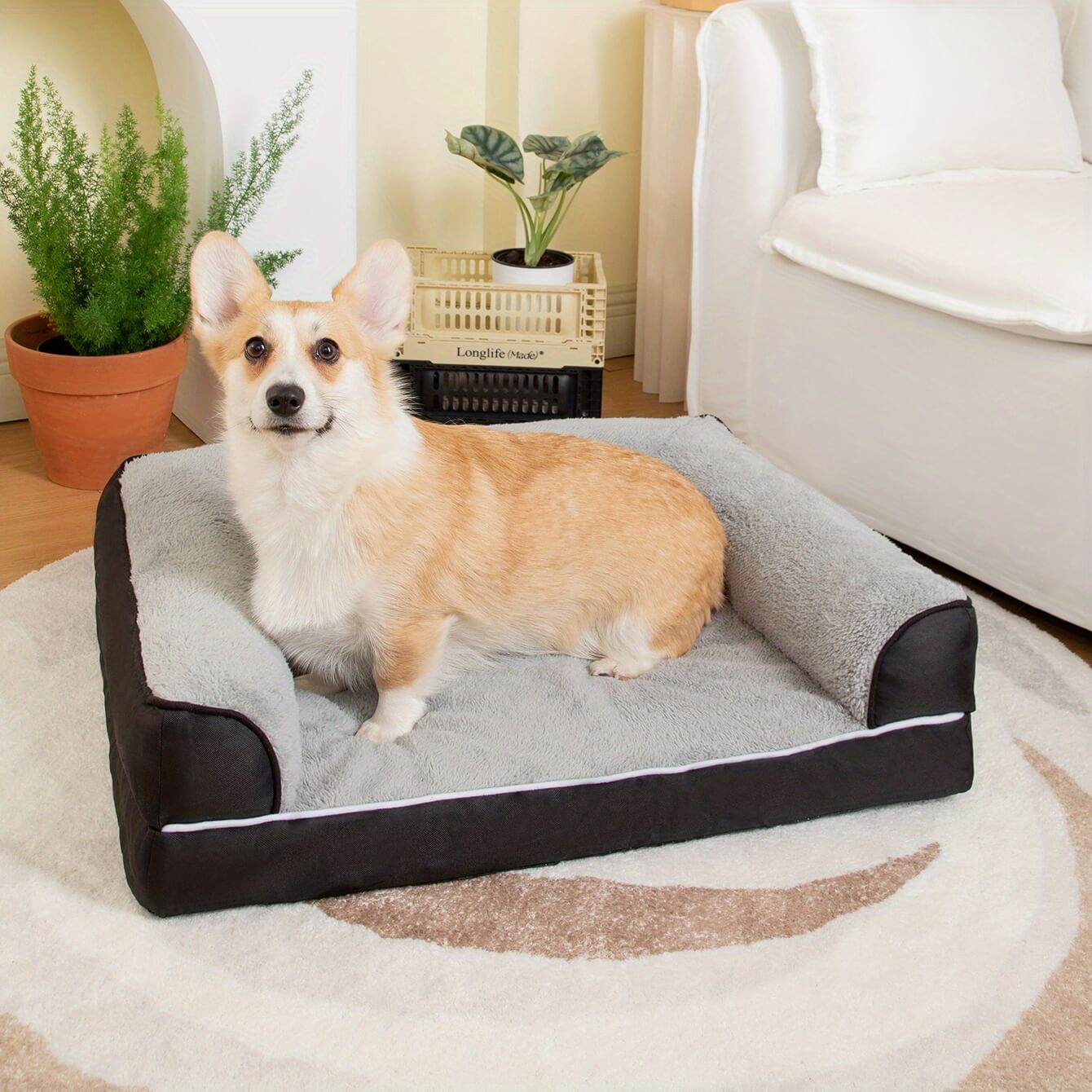 Suitable Bed For Medium-sized Dogs