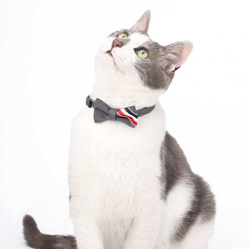 TB British Windcat Collar Bowtie