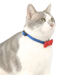 Colorful Canvas Cat Collar Bowtie