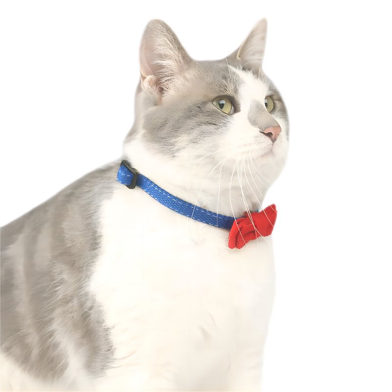 Colorful Canvas Cat Collar Bowtie