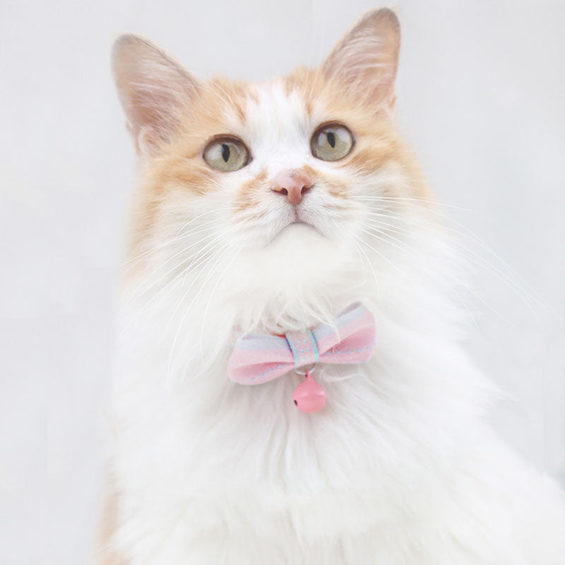 Colorful Bow Cat Collar Bowtie