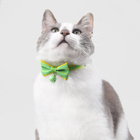 Colorful Bow Cat Collar Bowtie