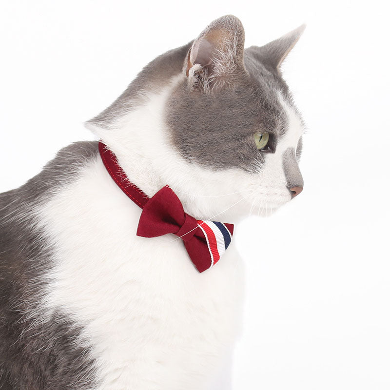 TB British Windcat Collar Bowtie