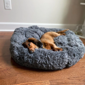 The Original Soft Cloud Dog Bed