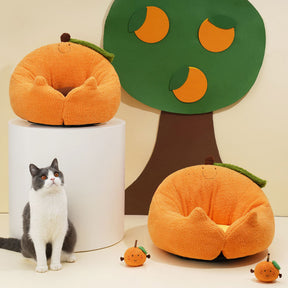 Orange Cat Bed