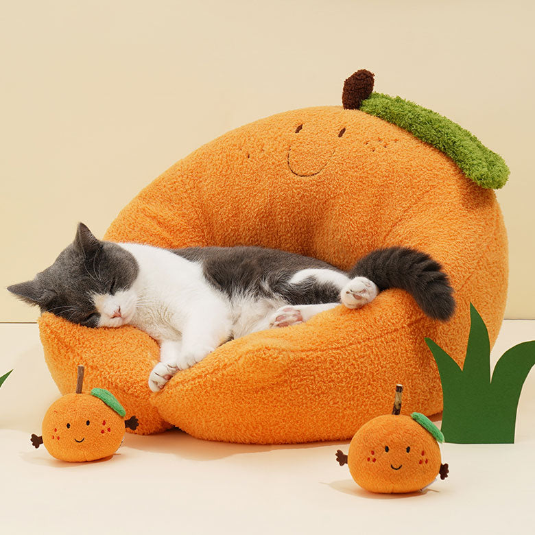 Orange Cat Bed