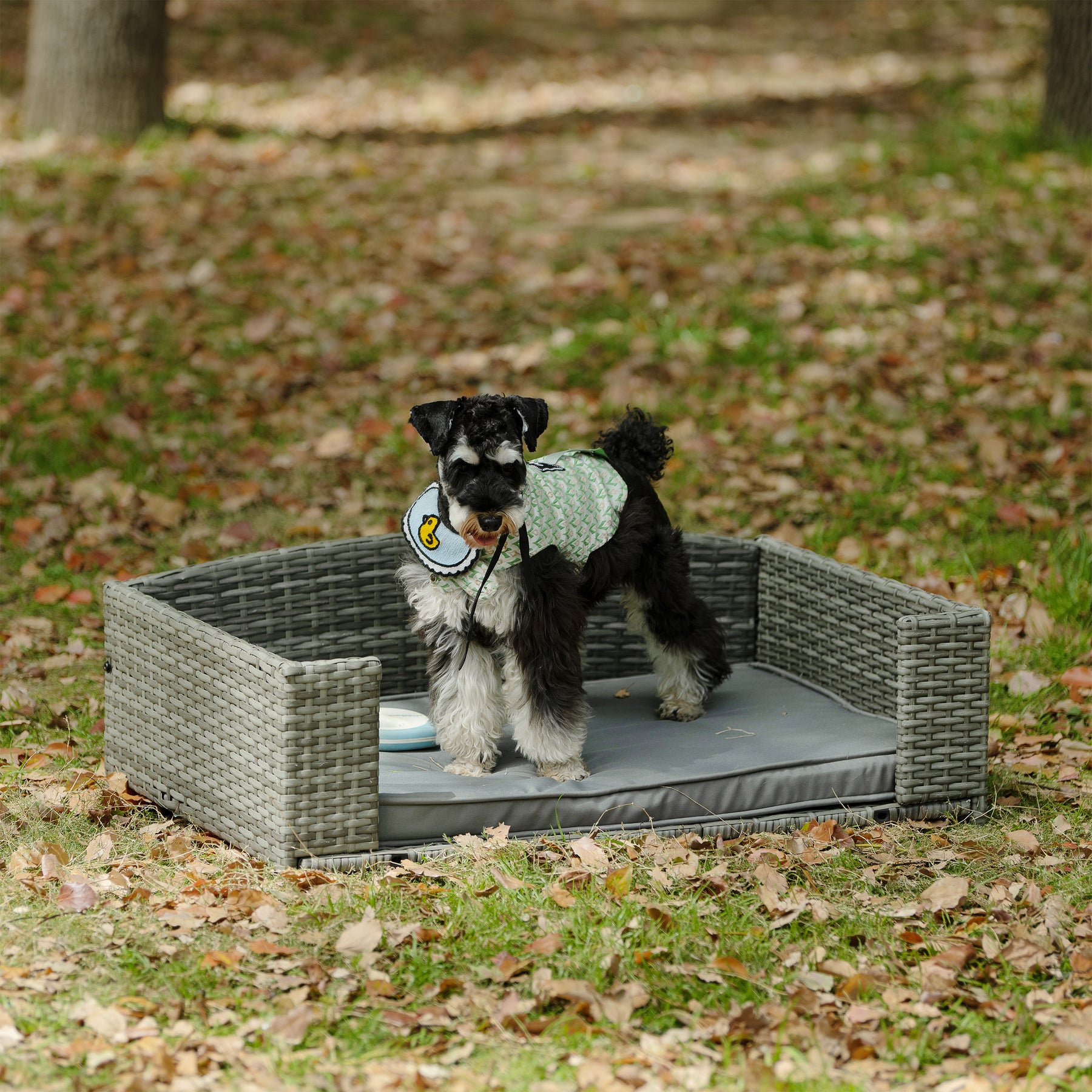 PE Rattan Dog Bed With Cushion