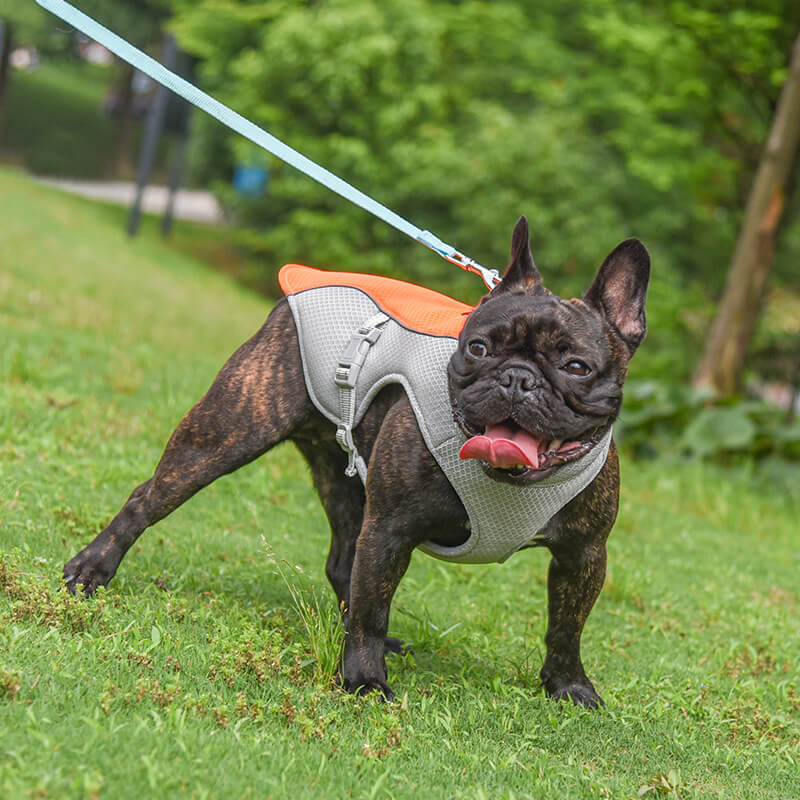 Breathable Vest For Sunstroke Prevention Water-soakable Dog Cooling Vest