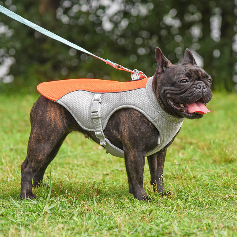 Breathable Vest For Sunstroke Prevention Water-soakable Dog Cooling Vest