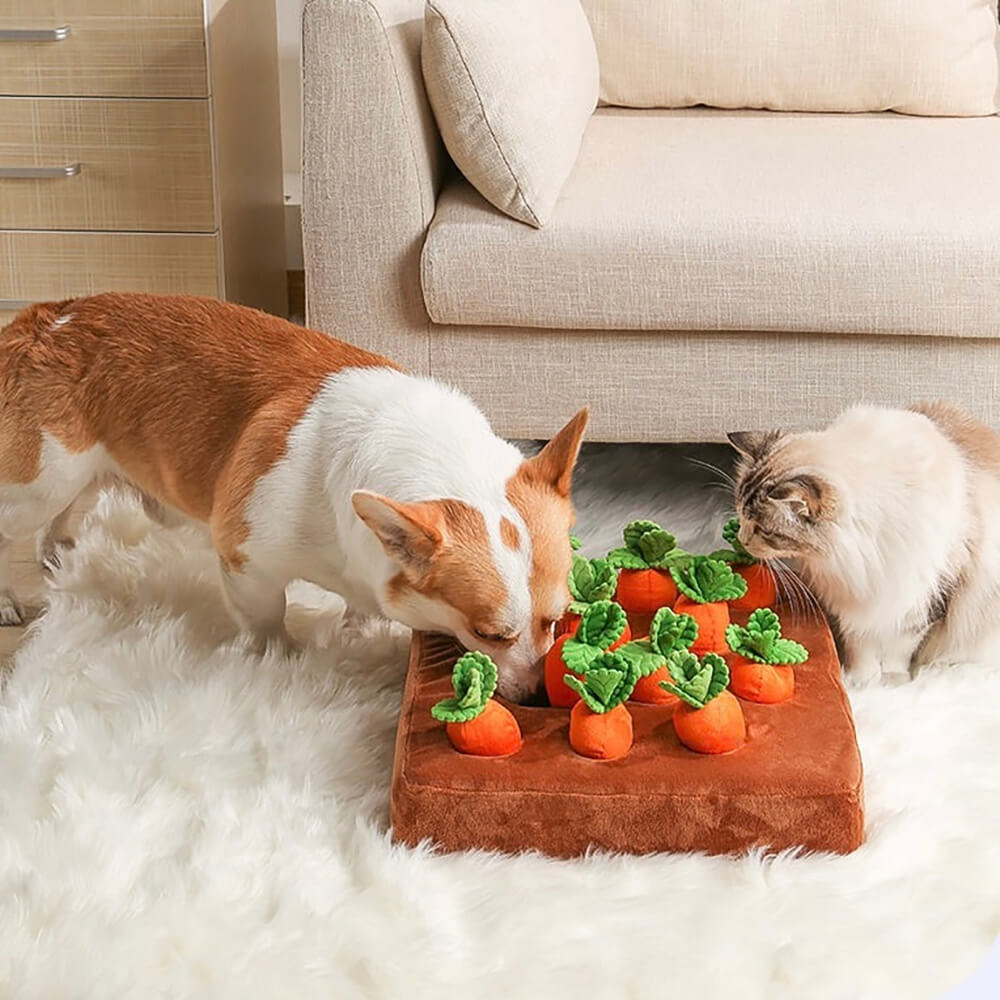 Plush Squeaky Snuffle Dog Toy - Carrot Farm