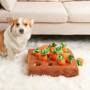 Plush Squeaky Snuffle Dog Toy - Carrot Farm