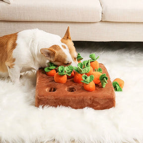 Plush Squeaky Snuffle Dog Toy - Carrot Farm