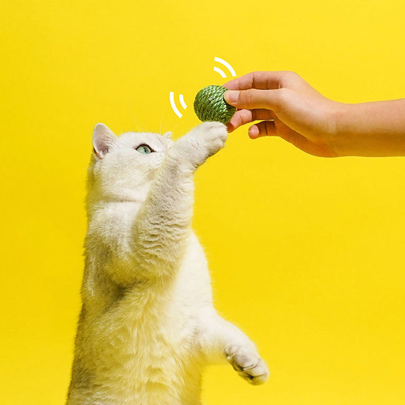 Green Pea Sisal Ball Cat Toy