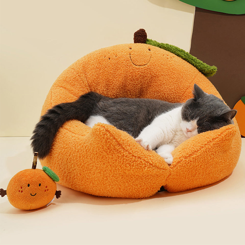 Orange Cat Bed