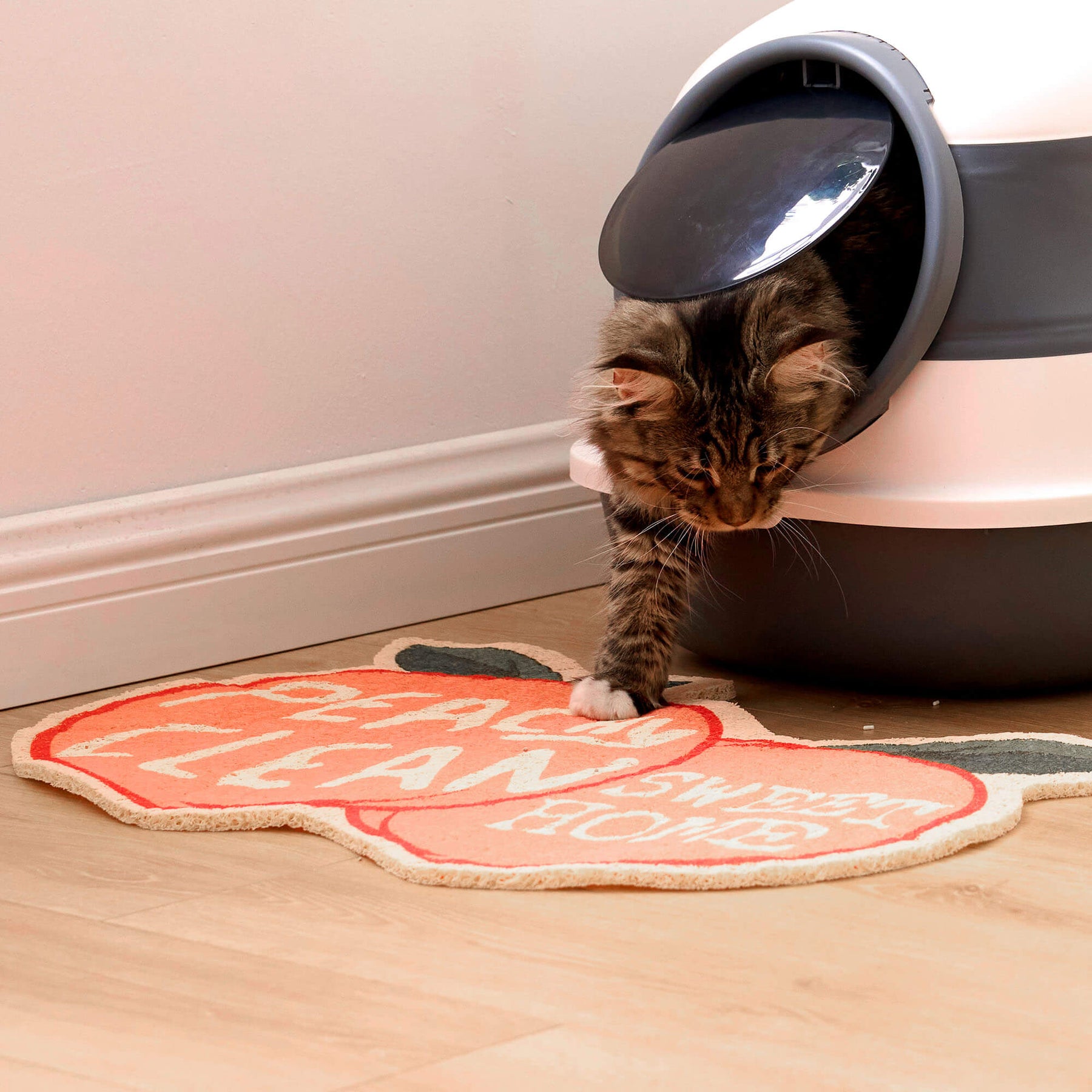 Peach Shaped Cat Litter Mat