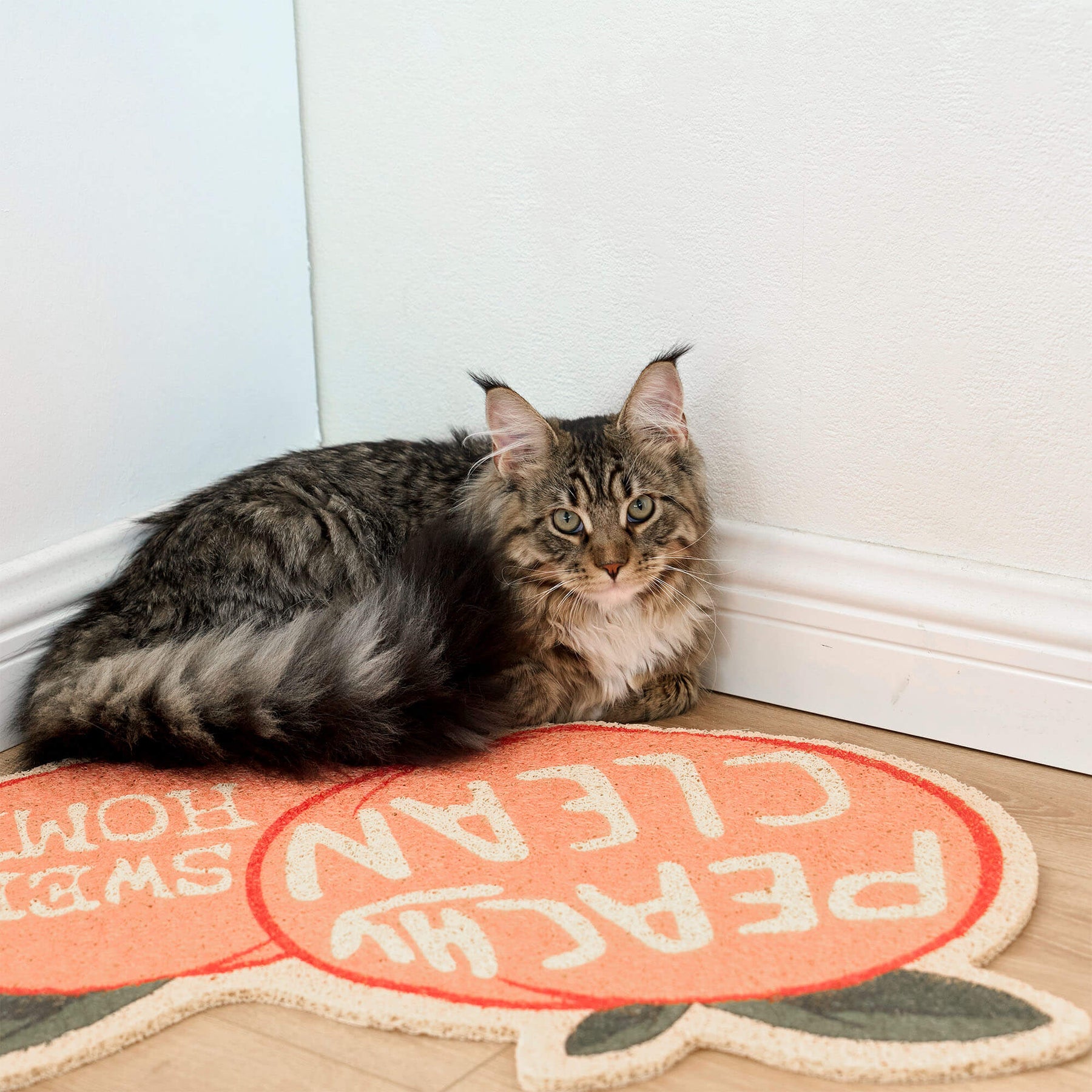 Peach Shaped Cat Litter Mat