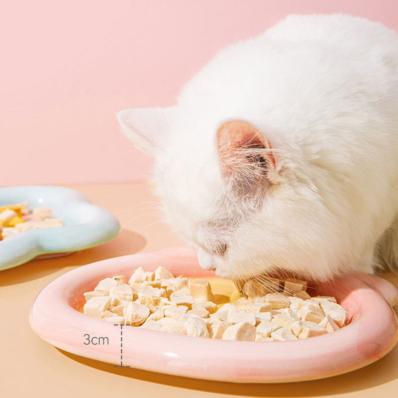 Plate Ceramic Cat Bowl