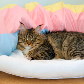 Rainbow Tunnel Cat Bed