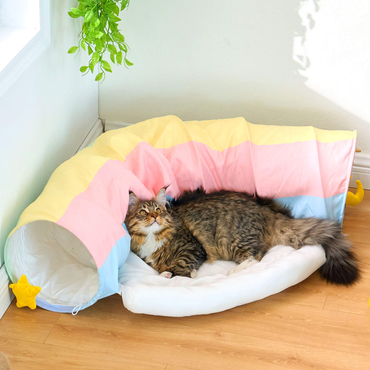 Rainbow Tunnel Cat Bed