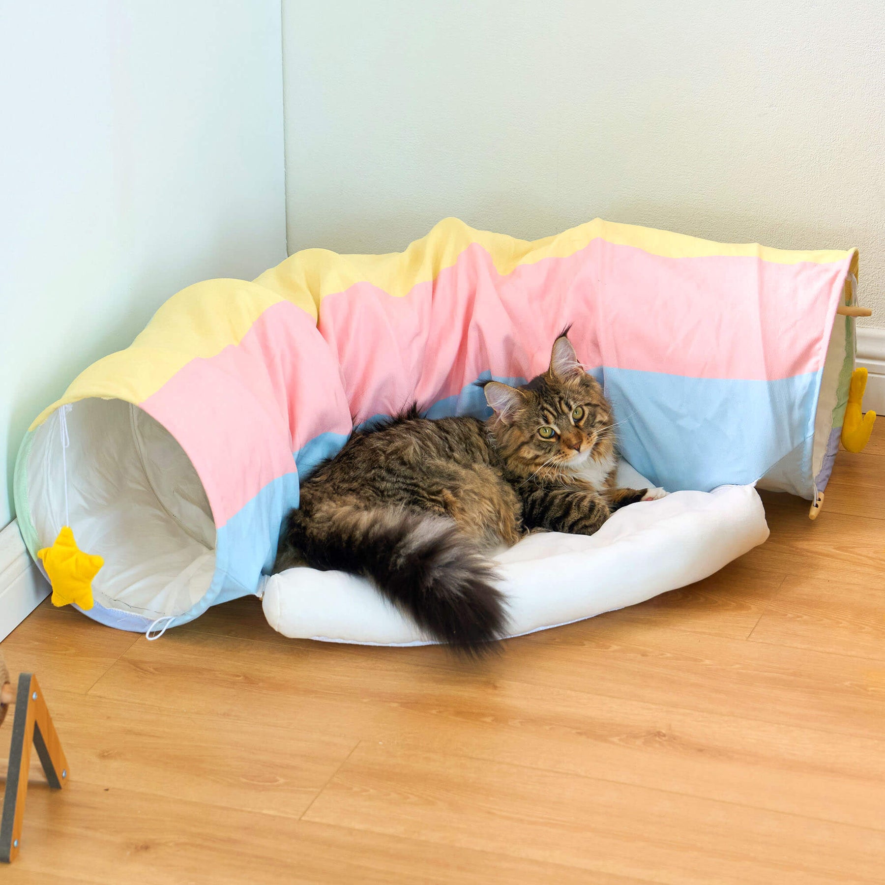 Rainbow Tunnel Cat Bed