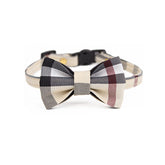 Brit classic checkered cat bow tie