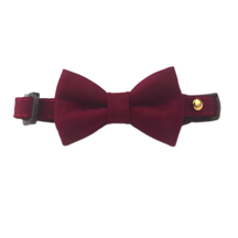 Cat Suit Collar Bowtie