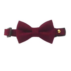 Cat Suit Collar Bowtie