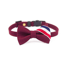 TB British Windcat Collar Bowtie