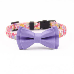 Color Print Striking Cat Collar Bowtie