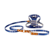 Cat and Dog Check Harness