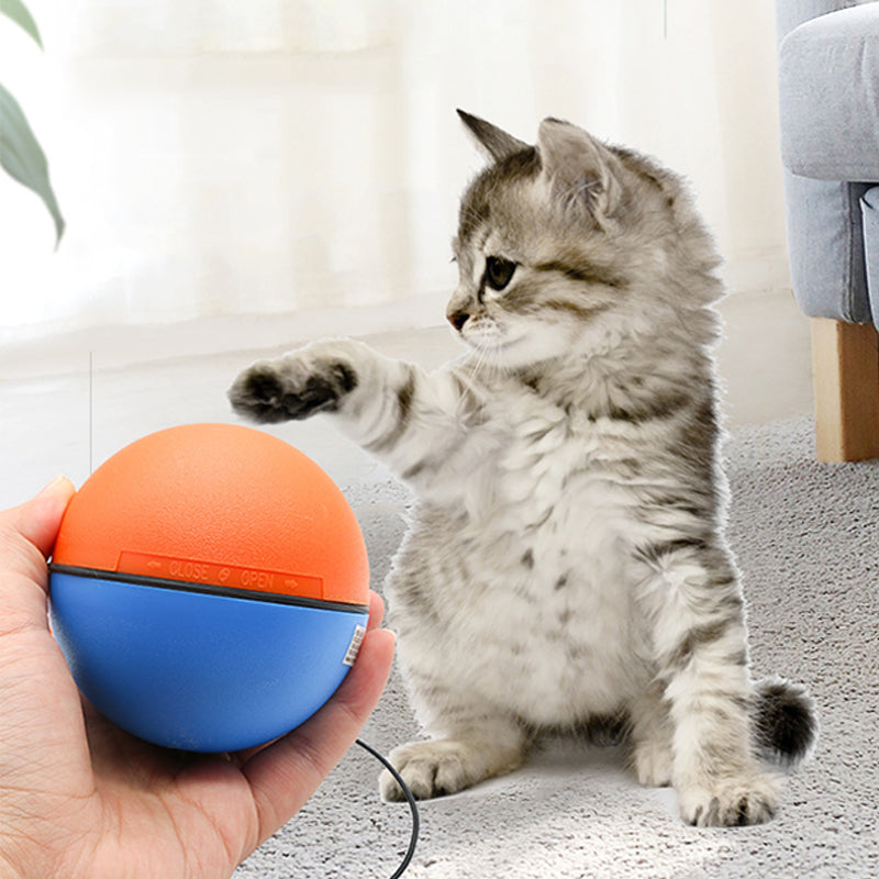 Smart Electric Cat Ball