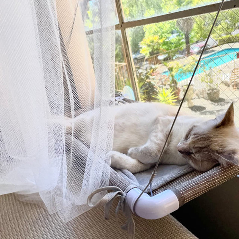 Cat Window Perch