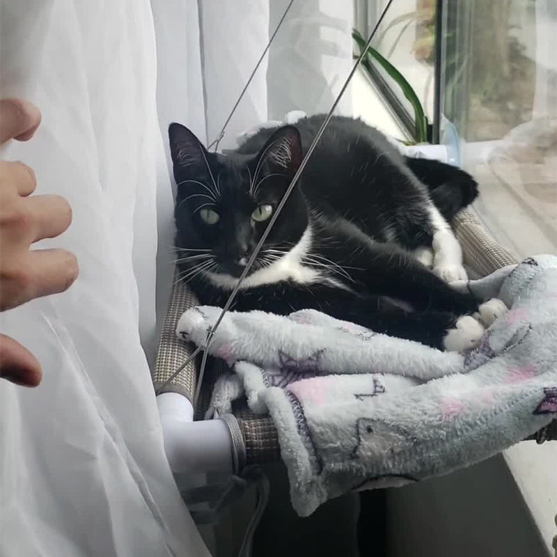 Cat Window Perch