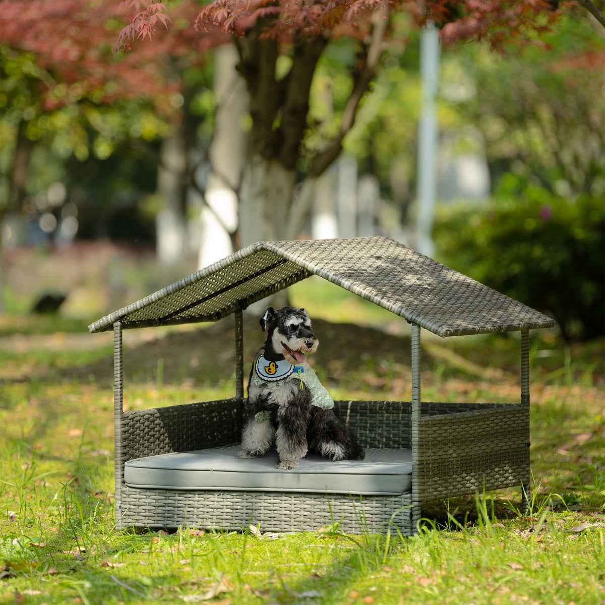 PE Rattan Dog Bed With Canopy