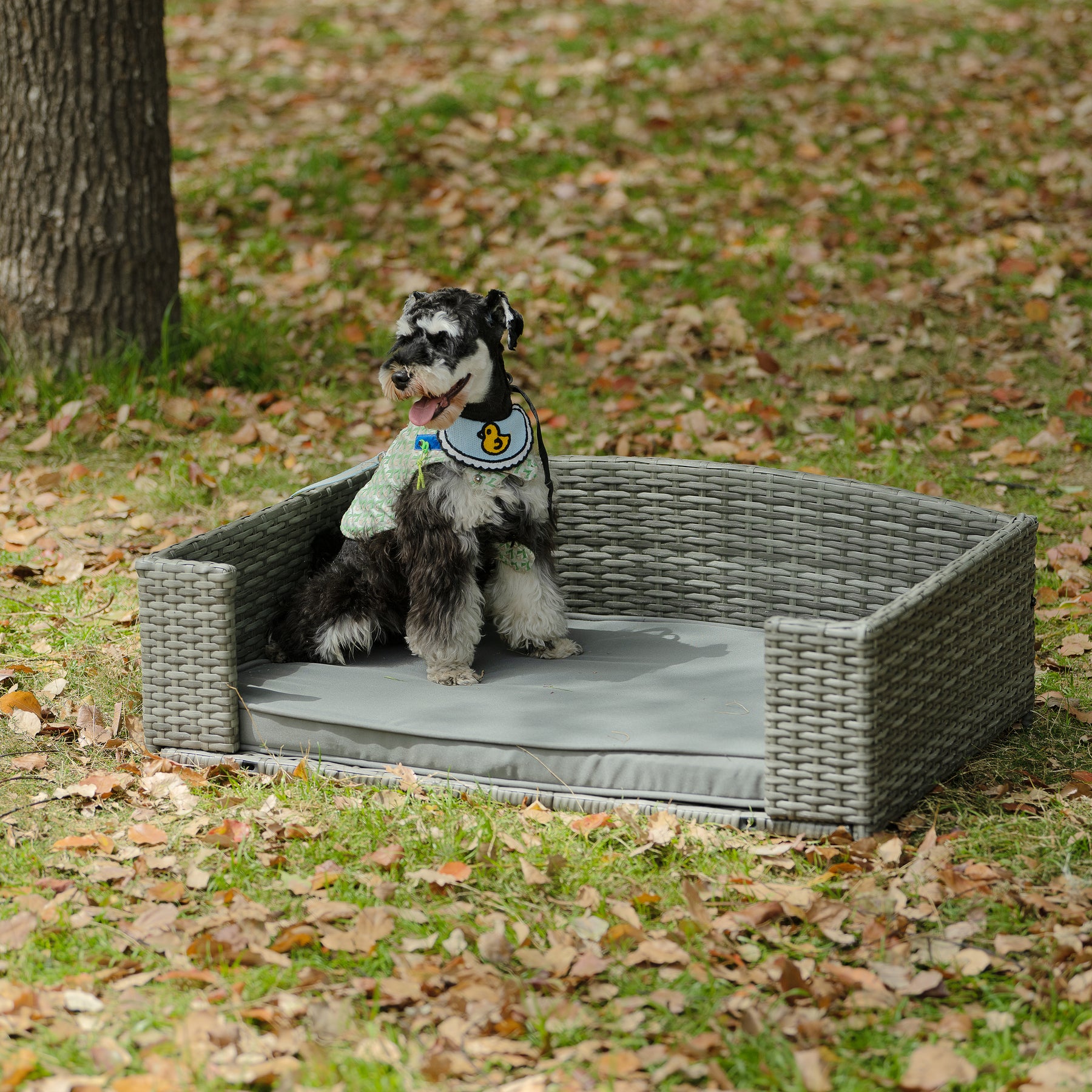 PE Rattan Dog Bed With Cushion