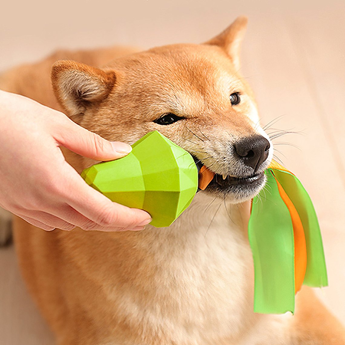 Fruit Squeaky Chew Dog Toy